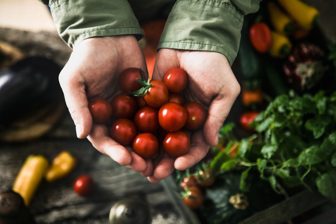 fytotherapie voedingsadvies tomaten in handen Fyto-Life