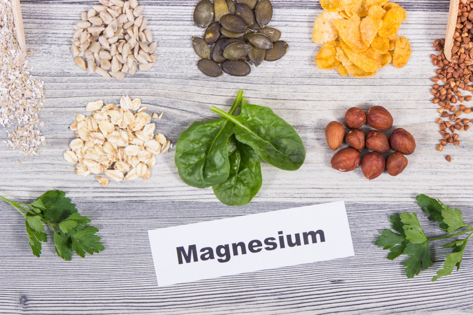 magnesium Fyto Life